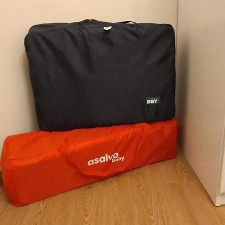 Kiku Ii ベルメオ